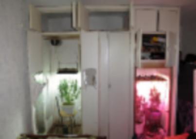 Житель Пермского края приговорён к лишению свободы за серию преступлений в сфере незаконного оборота наркотиков