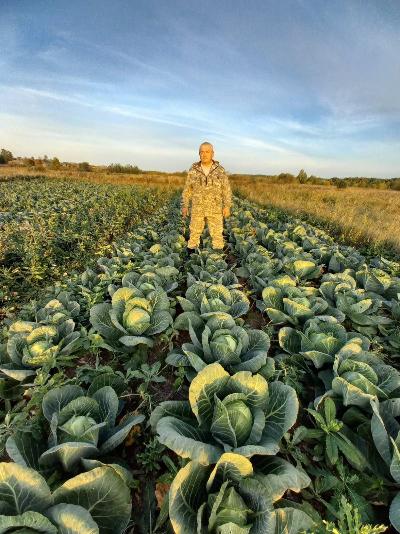 ИСТОРИЯ УСПЕХА "ГУРИНСКИЕ ОВОЩЕВОДЫ ЛОМАЮТ СТЕРЕОТИПЫ"