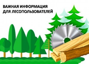 Об электронном сопроводительном документе на транспортировку древесины