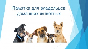 Вниманию владельцев собак!