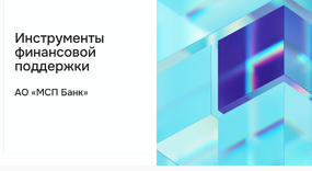 Инструменты финансовой поддержки субъектам МСП, осуществляющим реализацию инвестиционных проектов в сфере туризма в АО «МСП Банк».