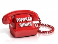 Горячая линия