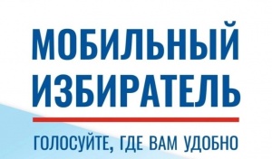 Мобильный избиратель
