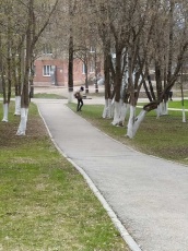 Территорию города обработали от клещей 