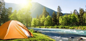 Об утверждении нормативных правовых актов, принятых в целях реализации планов мероприятий («дорожной карты») «Трансформация делового климата»  «Туризм»