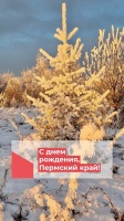 С Днём создания Пермского края!
