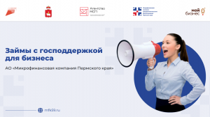 Займы с господдержкой для бизнеса