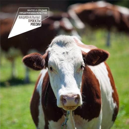 Грант "Агростартап"