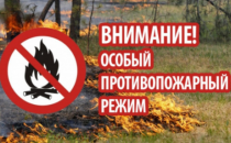На территории Кудымкарского муниципального округа установлен особый противопожарный режим 