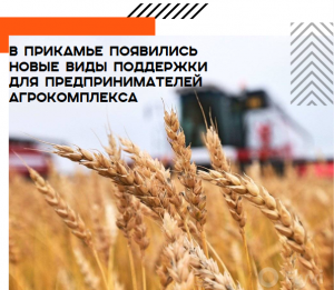 В Прикамье появилась новая мера господдержки для бизнеса — льготный лизинг и кредитование для предпринимателей агрокомплекса