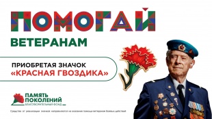 Цветок поддержки: присоединитесь к благотворительной акции «Красная гвоздика», чтобы помочь ветеранам России 12+