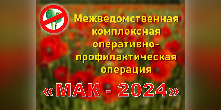 В Пермском крае стартовал первый этап оперативно-профилактической операции «Мак-2024»