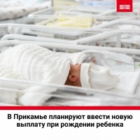 Губернатор предложил новые выплаты при рождении ребенка для жен участников СВО и студентов