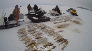 В Кудымкаре вынесен приговор браконьеру