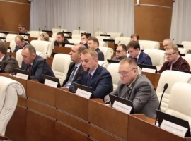 СОВЕТ ПРЕДСТАВИТЕЛЬНЫХ ОРГАНОВ 