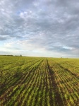 Уважаемые жители Кудымкарского муниципального округа
