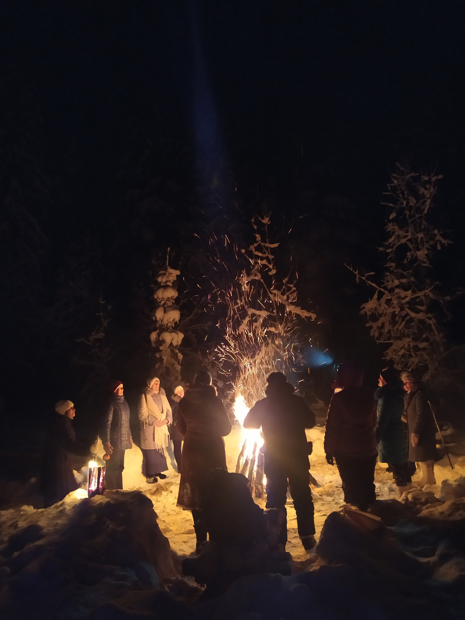 Интерактивная экскурсия "Новый год в зимнем лесу"