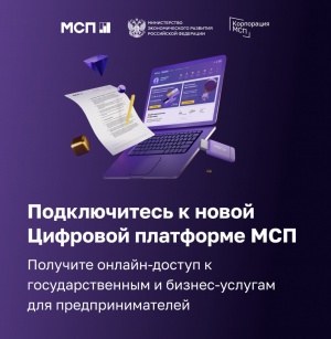 Информационный видеоролик о Цифровой платформе МСП 