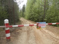 В Прикамье на период с 25 до 29 мая вводится ограничение пребывания граждан в лесах 