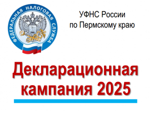 В России началась декларационная кампания  2025.
