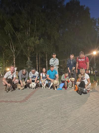 Проект инициативного бюджетирования «Четыре ЛАПЫ» - это проект по обустройству площадки для выгула собак